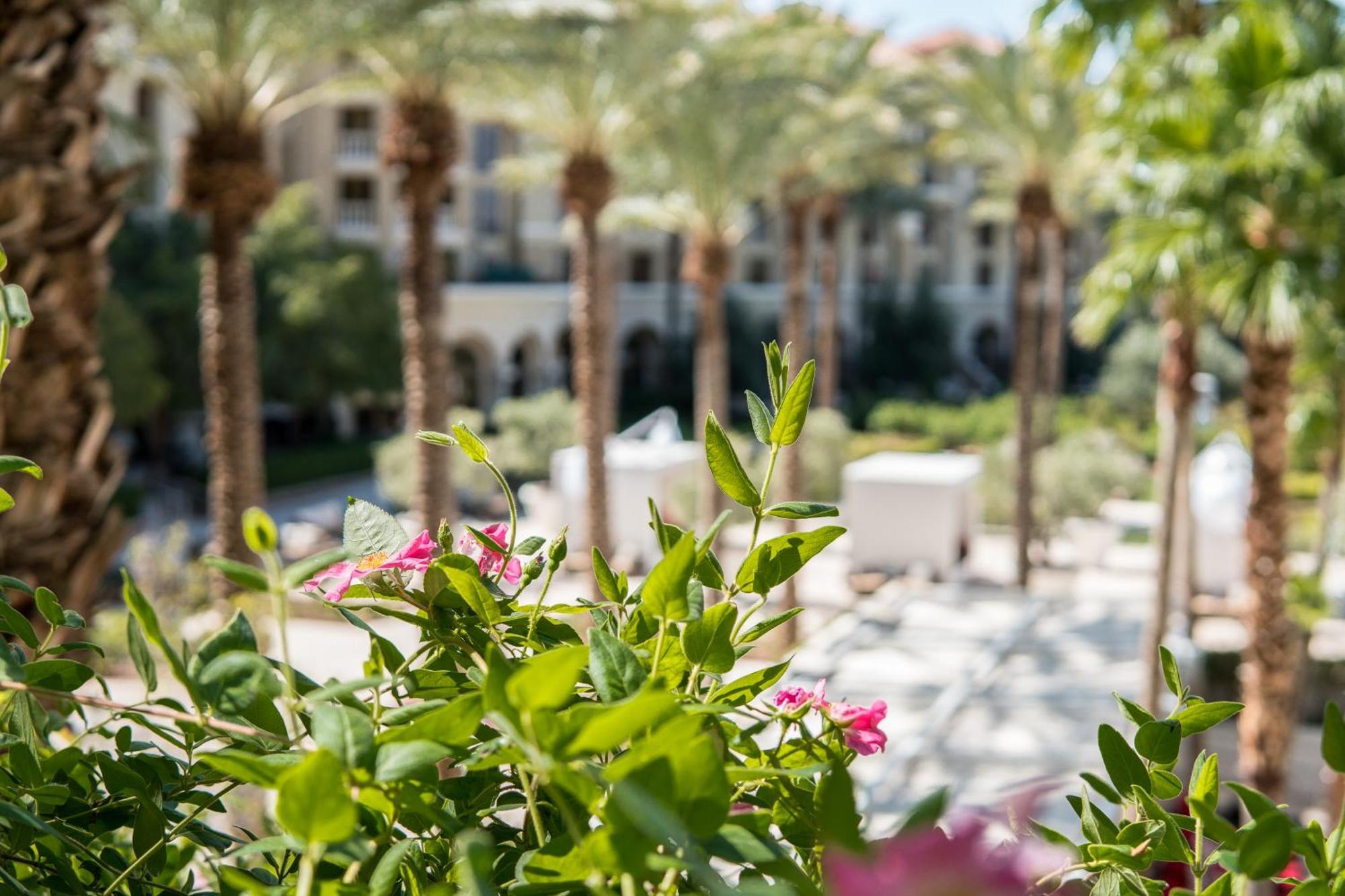 Green Valley Ranch Resort Spa Casino Лас-Вегас Экстерьер фото